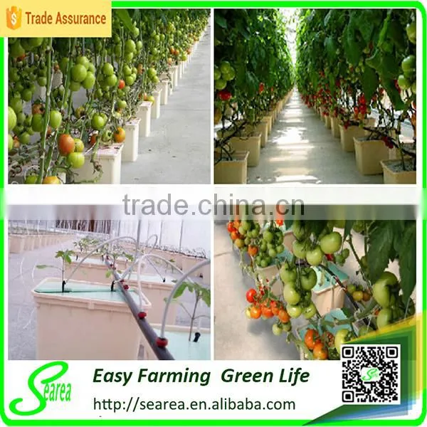 High-tech Hydroponics Machine photo-6