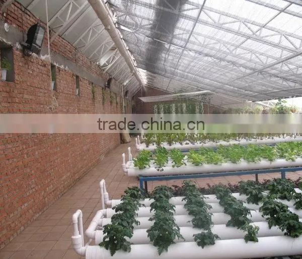 Lettuce System Hydroponic Green House photo-2