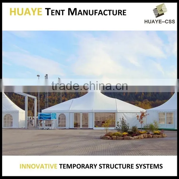 Hot Sale Outdoor Multi-sided High Peak Canopy Tent for Sale photo-5