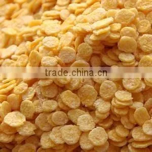 CY Corn Snack Food Exturder Machinery Line photo-2