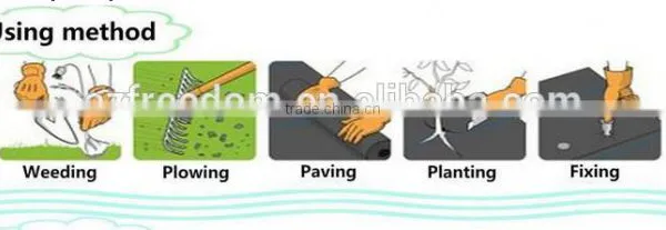 pp Non Woven Fabric Ground Cover photo-6