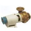 Carbon Ship Water Pump