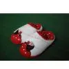 Supply Indoor Slipper