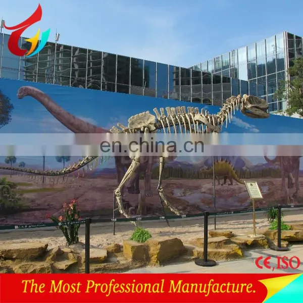 Life Size Museum Quality Fiberglass Dinosaur Head Fossil photo-5