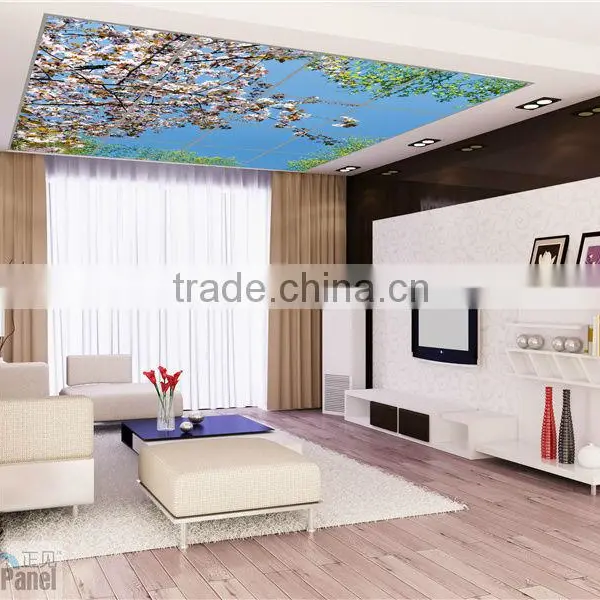 2016 Luminous Led Sky Curtain Wall Panel photo-4
