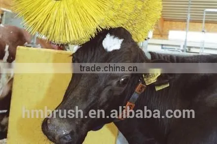 High Quality Customizd PP Material Cow Body Brush photo-2