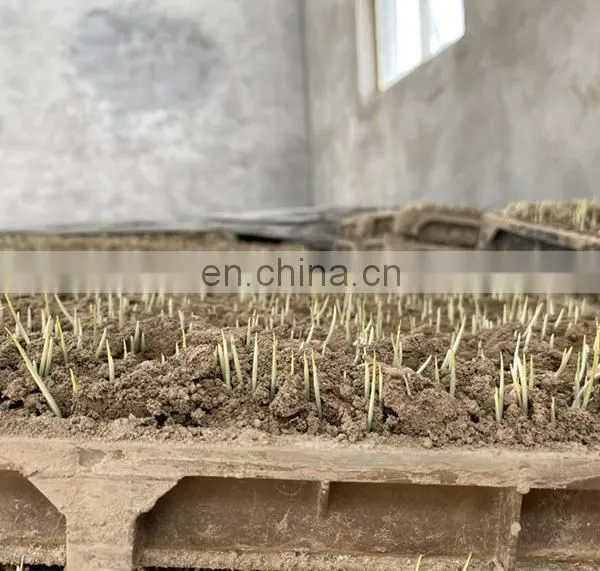 Kubota Latest Automatic Rice Nursery Sowing Machine photo-5