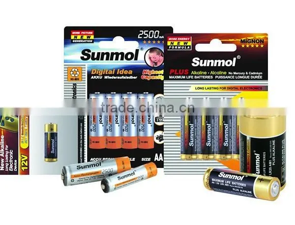 Powerful All Kinds of Dry Battery in China photo-3