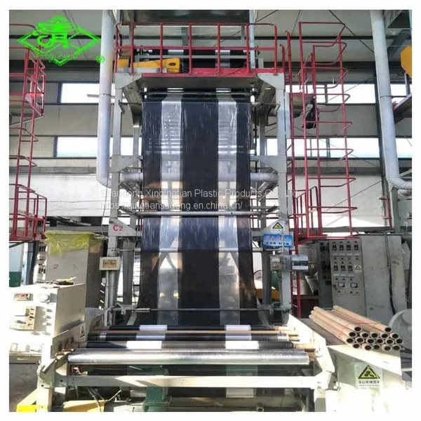 UV Resistant Ldpe Film Plastic Mulch Film Used for Agriculture Greenhouse or Gardening Crops photo-5