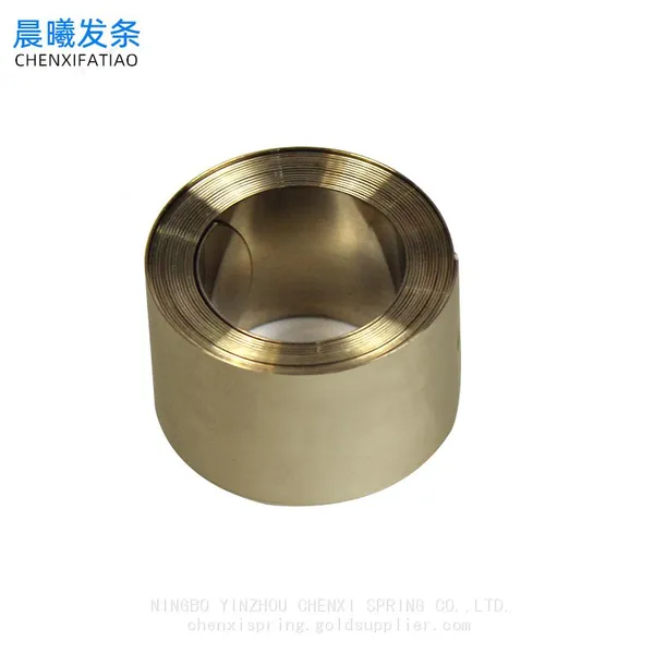 Stainless Steel Constant Force Spring Stainless Steel Spring photo-5