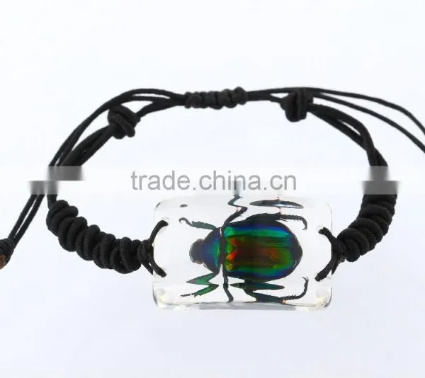 Latest Hippie Bracelet Beads as Promotion Gifts With Real Insect photo-2
