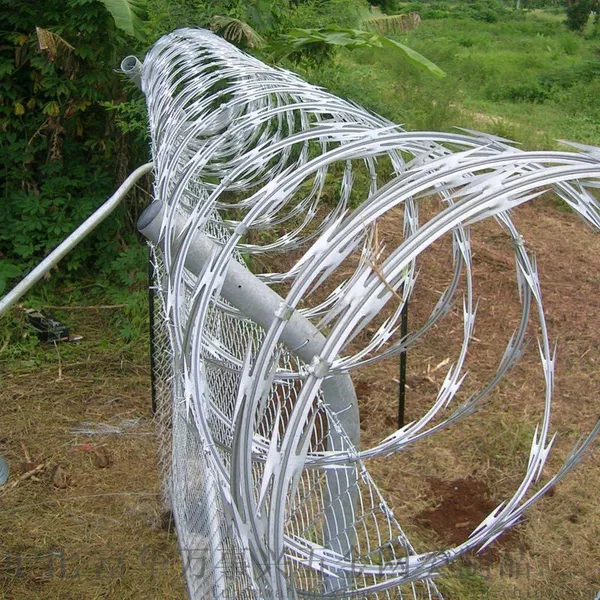 Galvanized & PVC Coated Stainless Steel Concertina Razor Wire BTO-22/BTO-60/CBT-65 photo-2