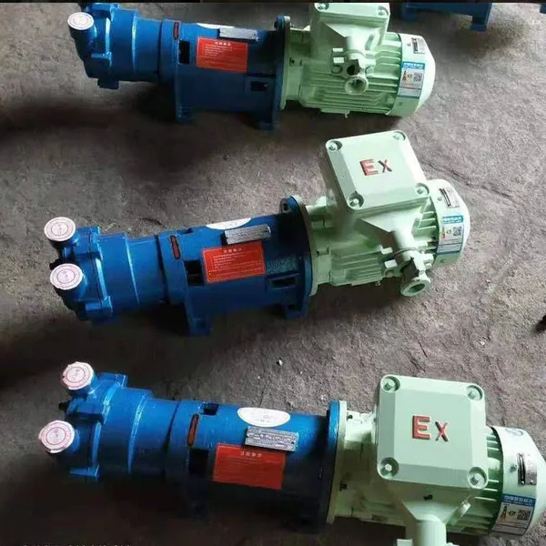 Luoji Pump Industry Supplies 2bv5131 Series Liquid Ring Vacuum Pump Units and Roots Vacuum Pumps photo-5