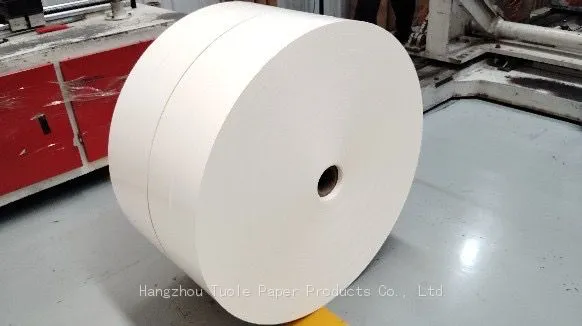 PE Coated Cup Bottom Roll photo-2