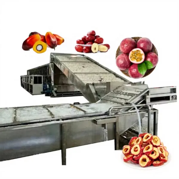 Industrial Fruit Drying Equipment Heat Pump Fruit Dehydrator Jujube, Passion Fruit, Dragon Fruit, Palm Kernel Drying Machine