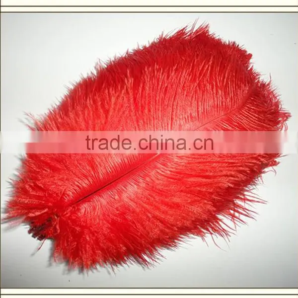 High Quality Real Natural Ostrich Feathers, Decorative Feathers Wholesale photo-4