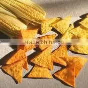 Corn Tortilla Machine photo-5