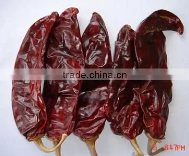 Chinese Exported Dry Sweet Paprika Whole photo-3