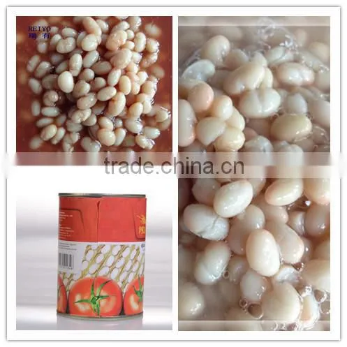 White Kidney Bean