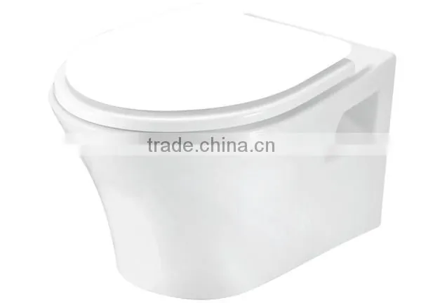 Back to Wall Washdown p Trap Toilet