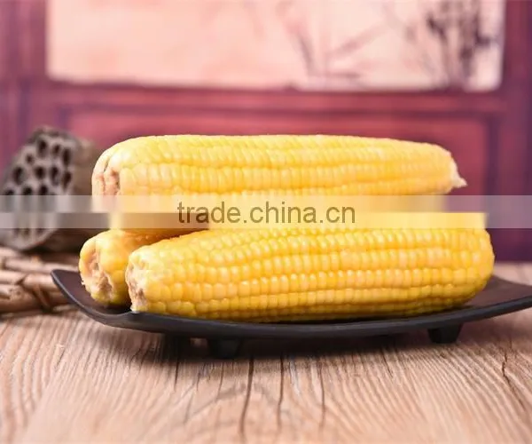 Products China Premium Quality Indian Corn photo-3