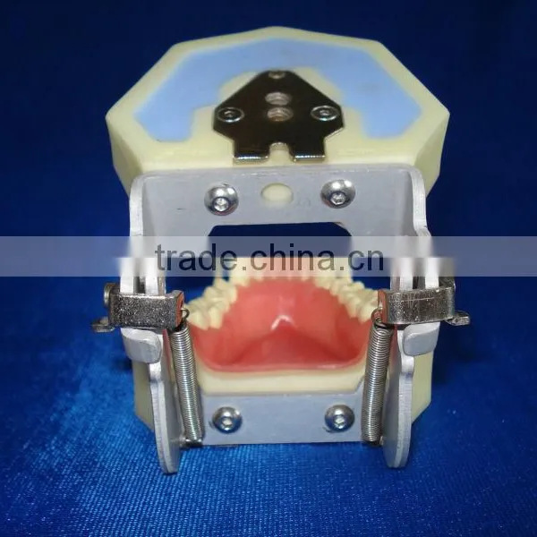 Dental Education Treating Periodontal Diseases for Teaching photo-2