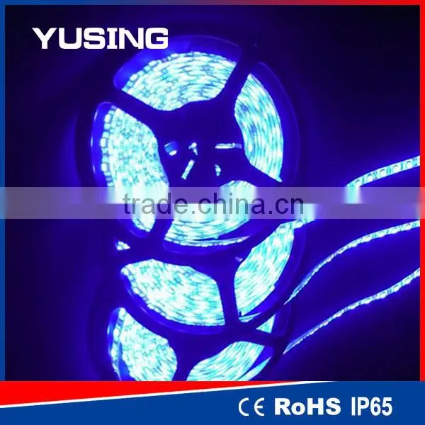 12V 24V 60 LEDs/Meter Waterproof 3528 Strip Light LED Blue Color photo-2