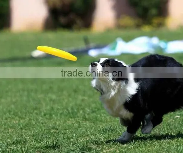 2015 Colorful Silicone Dog Frisbee photo-4