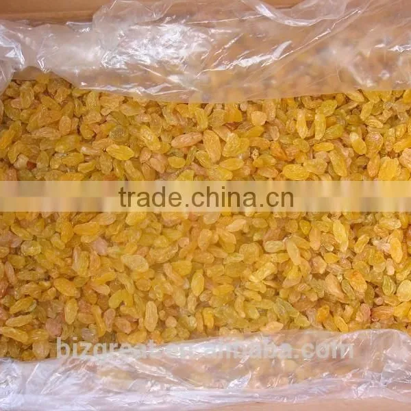 Dried Fruits-Air Dried Sweet Dried Golden Raisins for Sales