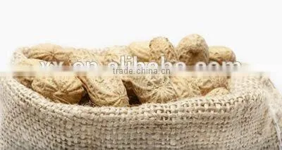 Wholesale Fried Salted Peanuts From Shandong, China photo-4