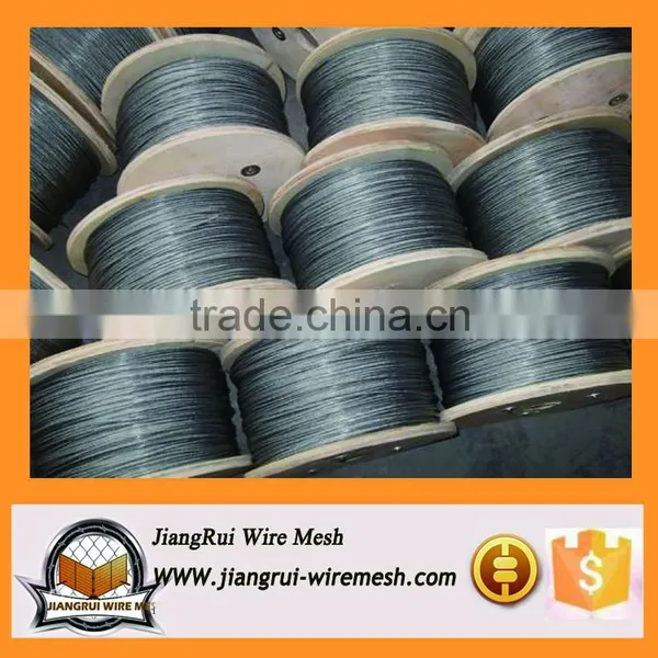 316L 304 Stainless Steel Wire / Stainless Steel Wire in Coil (factory Price) photo-3