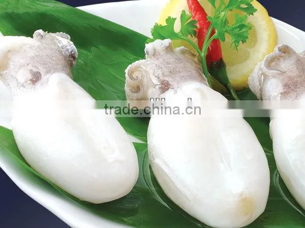 Frozen Cuttle Fish