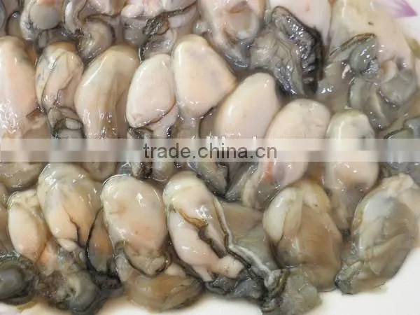 Frozen Oyster Meat
