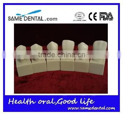Hot Sale 4 Times Butment Cavity Preparation Model Gingival School Teaching Demonstration Models photo-5