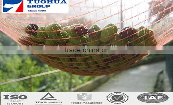 Olive Tree Nets in Harvesting photo-5