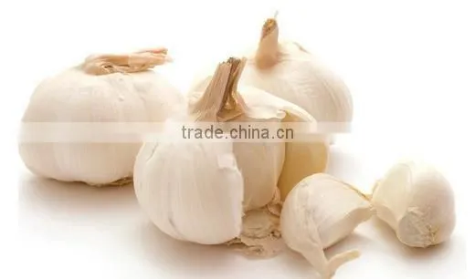 2016 Fresh Style Red Garlic photo-4