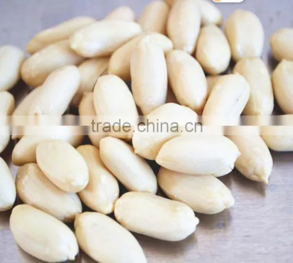 Long Type Blanched Peanut Kernel photo-5