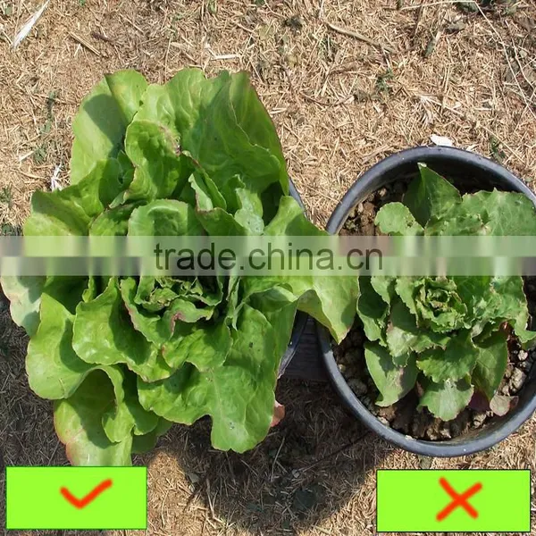 Humic Acid Type and Controlled Release Type Humic Acid Leonardite Extract photo-2