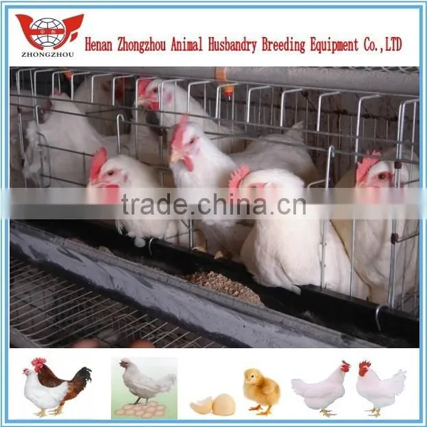 Hot Chicken Layer Cage/ Hens Chicken Cage/chicken Farm/poultry Farm photo-6