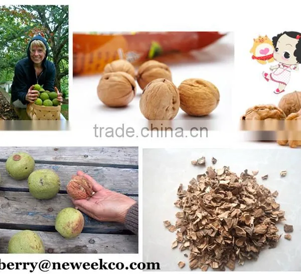 Neweek 300-500kg/h Small Husker Walnut Hard Shelling Machine photo-5