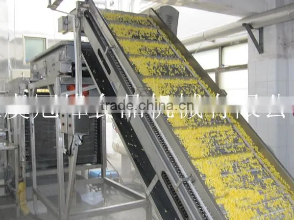 Sweet Corn Processing Machine IQF Frozen Line photo-6