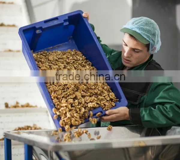 Walnut Kernel Five Layer Continuous Type Hot Air Dryer photo-3