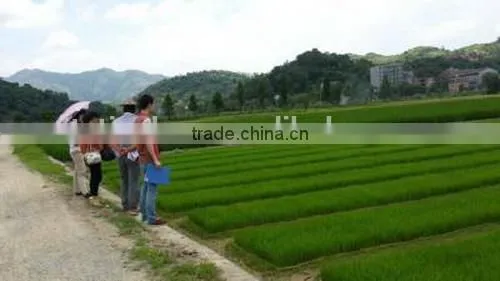 China Factory Price Promotion Personalized Rice Transplater Seeding Tray photo-4