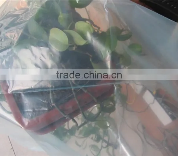 200 Micro Transparent Plastic Greenhouse Film photo-3
