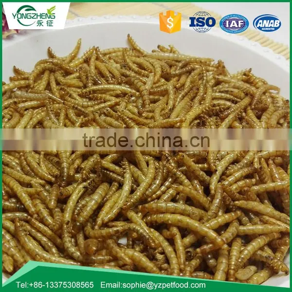 Dried Mealworms for Wild Bird photo-2