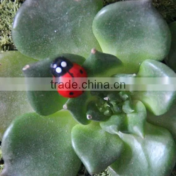 DIY Decoration Cute Micro Landscape Accessories Wood Ladybug Ornaments Crafts photo-2