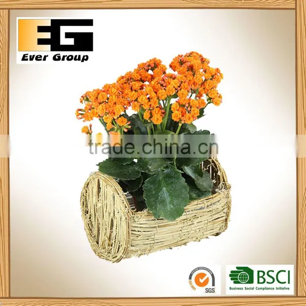 Square Handmade Nature Rattan Flower Pots for Planting photo-6