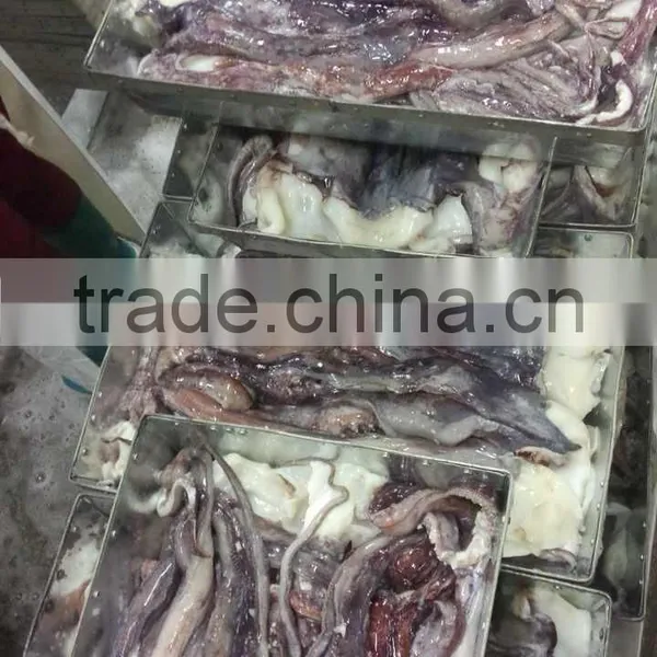 Frozen Squid Tentacle Of ILLex Squid photo-3