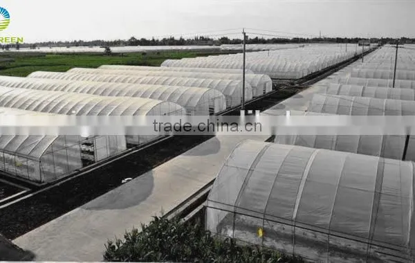 Hot Sale Film Covering Tunnel Strawberry Greenhouse photo-3