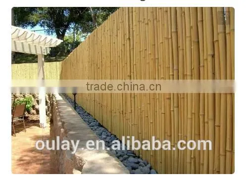 Outdoor Design And Bamboo Fence Panels For Bamboo Fencing photo-3
